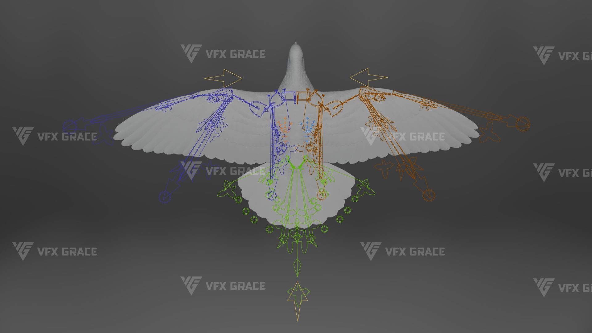 White Pigeon Animation -  VFX Grace 3D model_17
