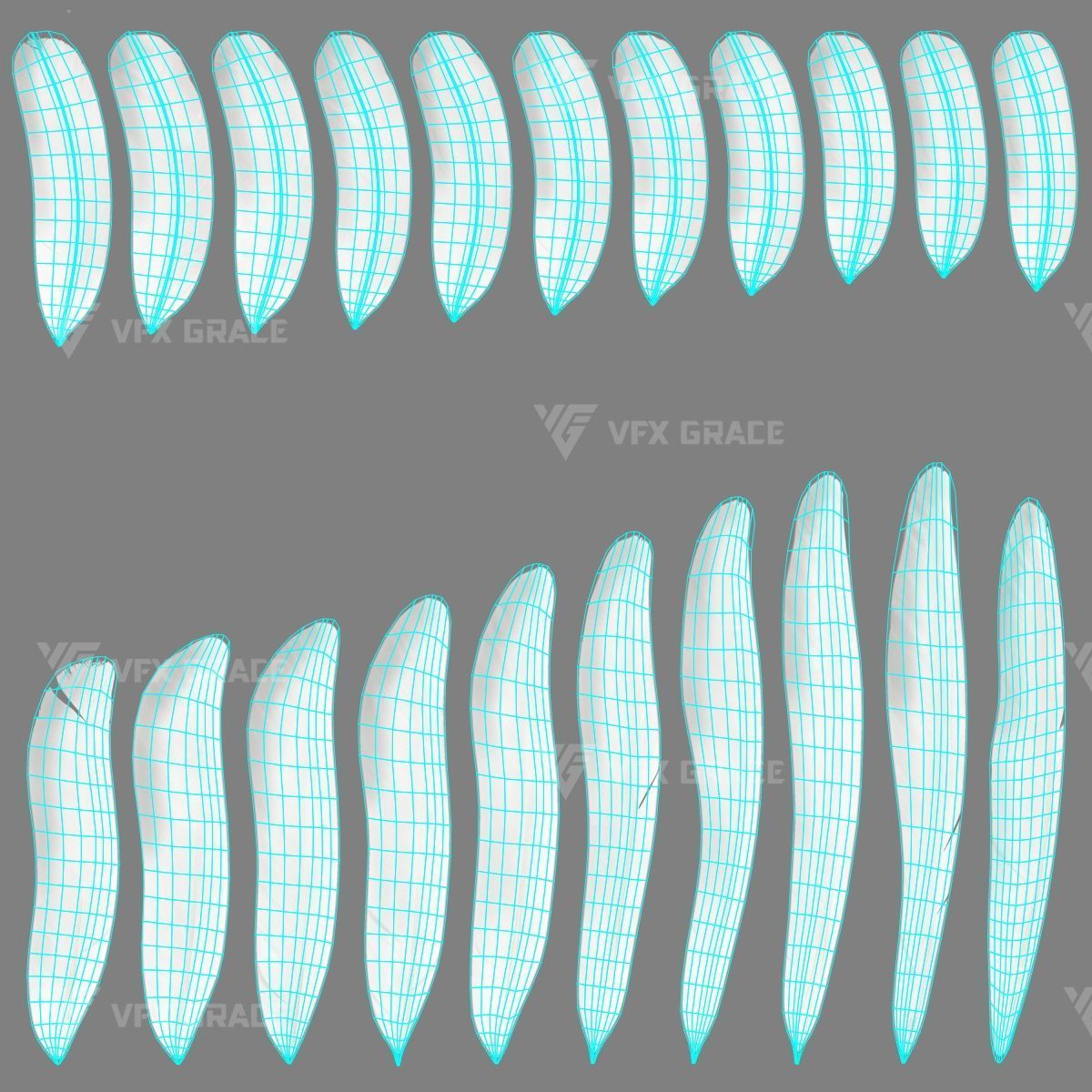 White Pigeon Animation -  VFX Grace 3D model_21