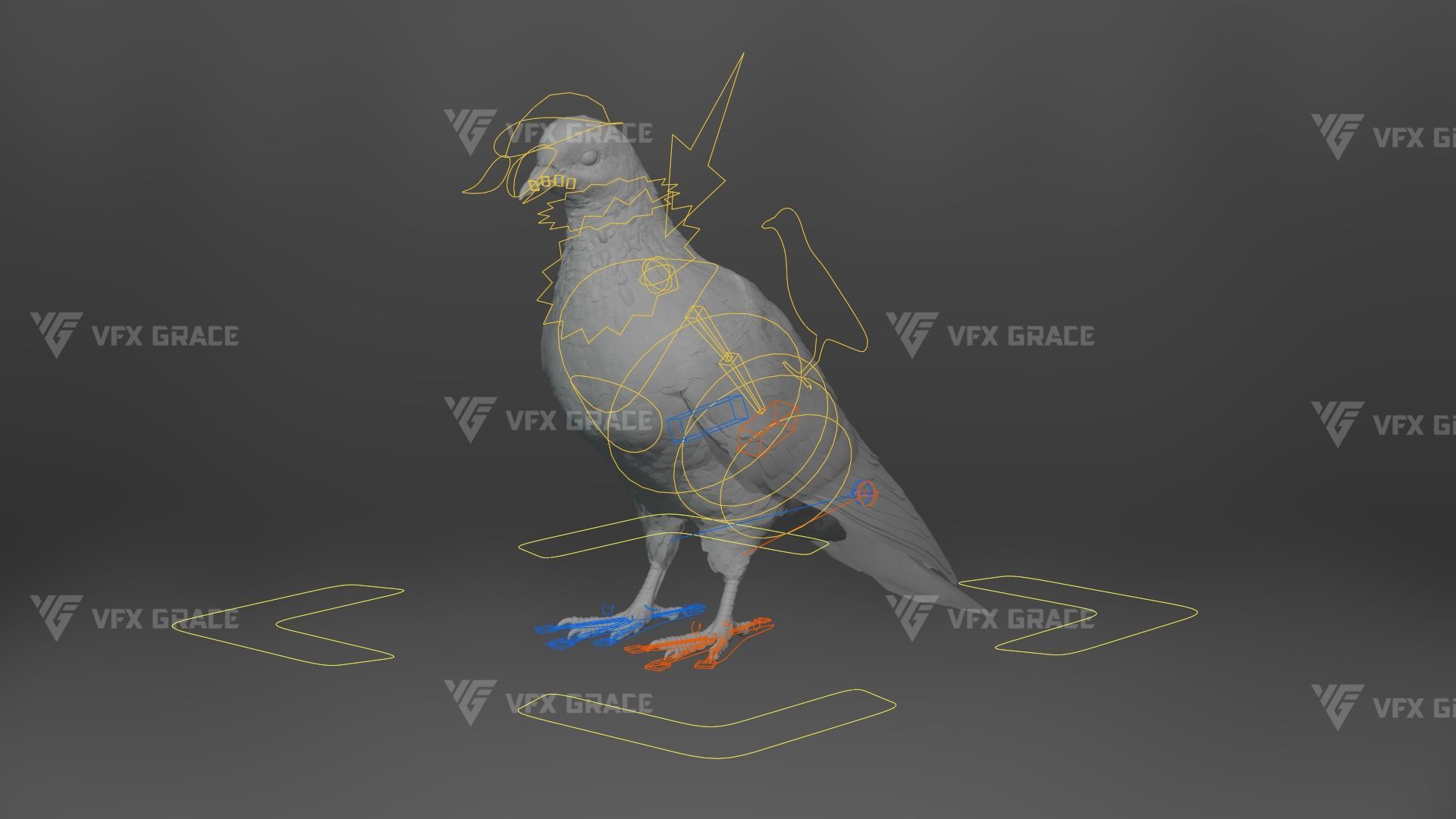 White Pigeon Animation -  VFX Grace 3D model_16
