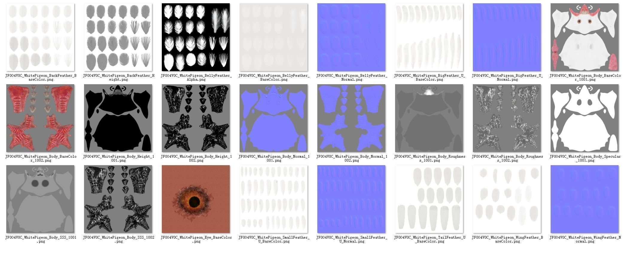 White Pigeon Animation -  VFX Grace 3D model_25