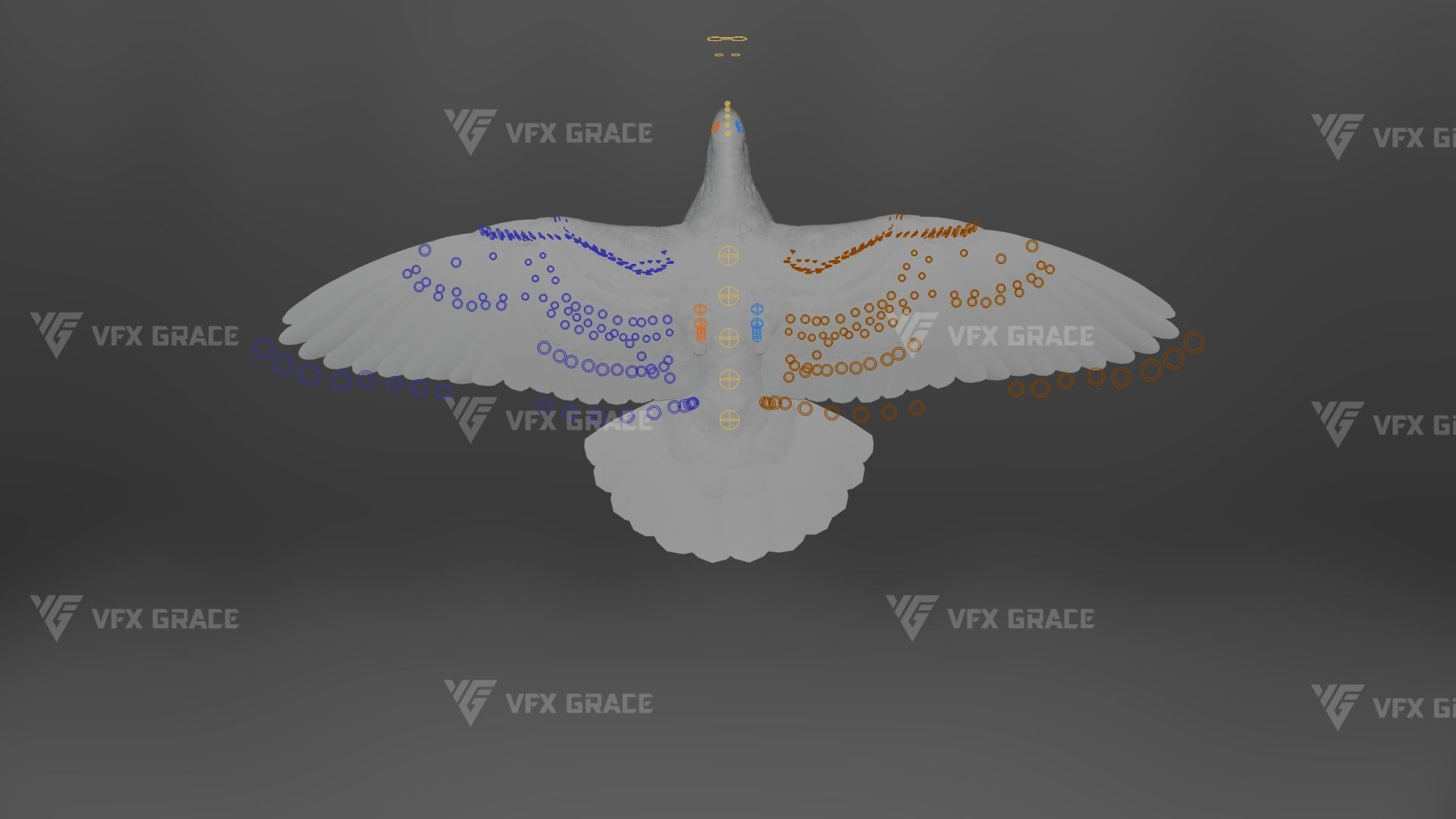 White Pigeon Animation -  VFX Grace 3D model_18