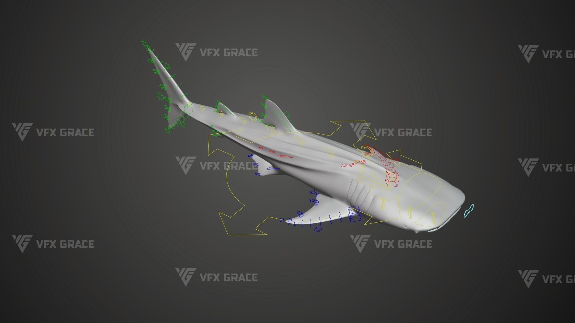 Whale Shark Animation - VFX Grace 3D model_10