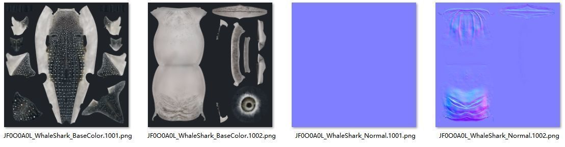 Whale Shark Animation - VFX Grace 3D model_13