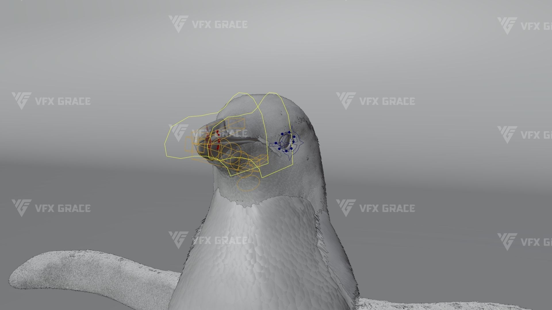 Pygoscelis Animated - VFX Grace 3D model_13