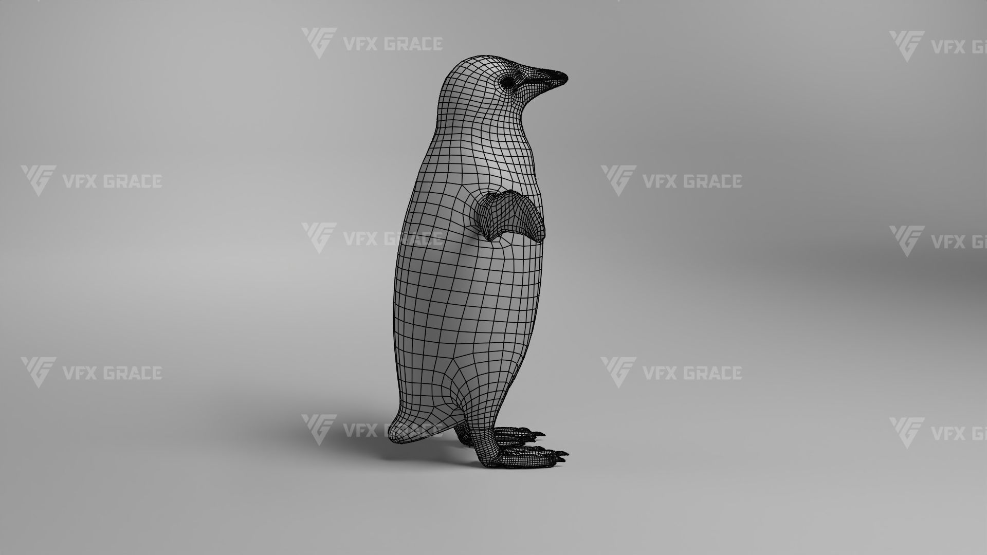 Pygoscelis Animated - VFX Grace 3D model_22