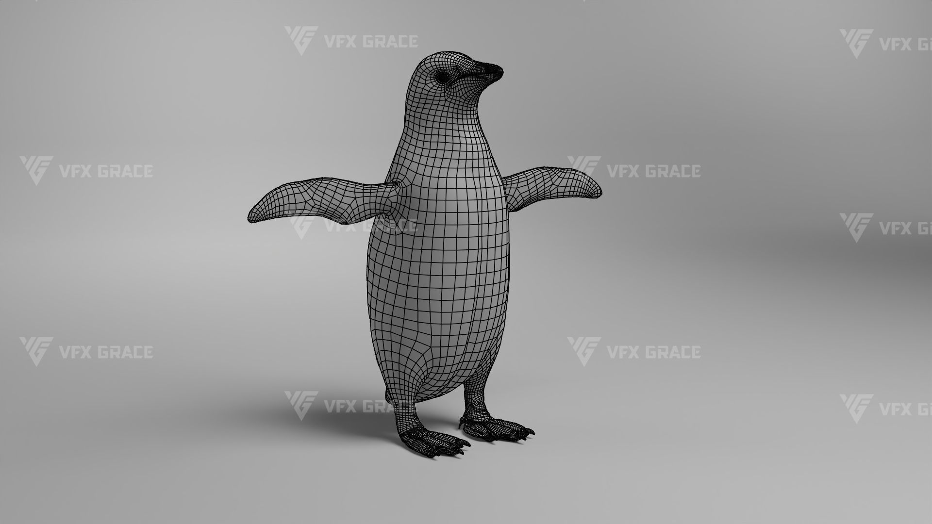 Pygoscelis Animated - VFX Grace 3D model_21