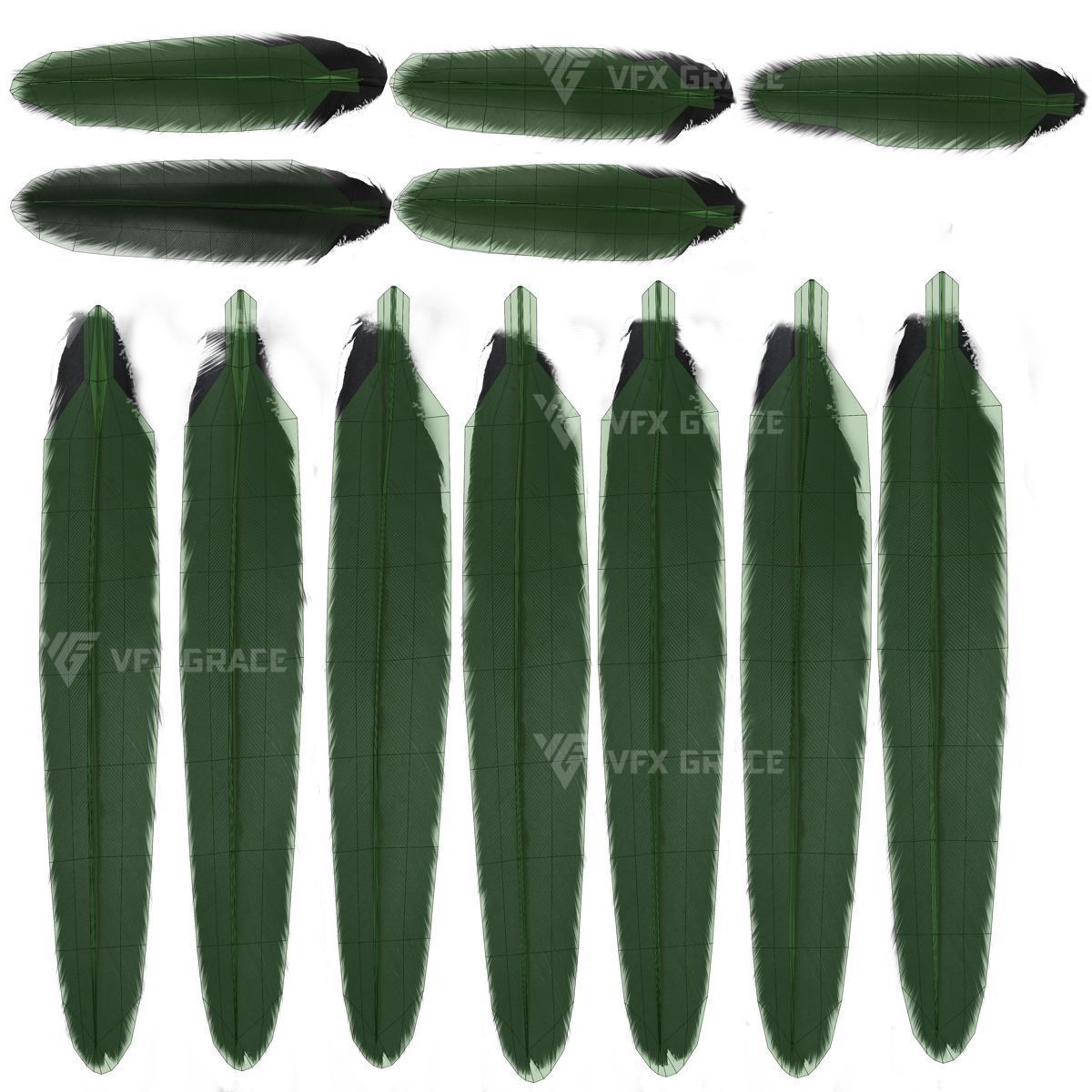 Pygoscelis Animated - VFX Grace 3D model_17