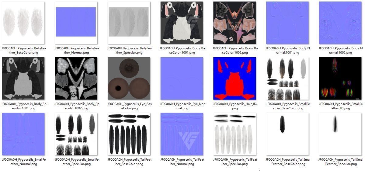 Pygoscelis Animated - VFX Grace 3D model_20