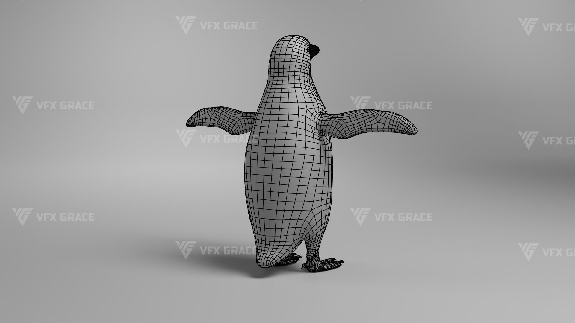 Pygoscelis Animated - VFX Grace 3D model_23