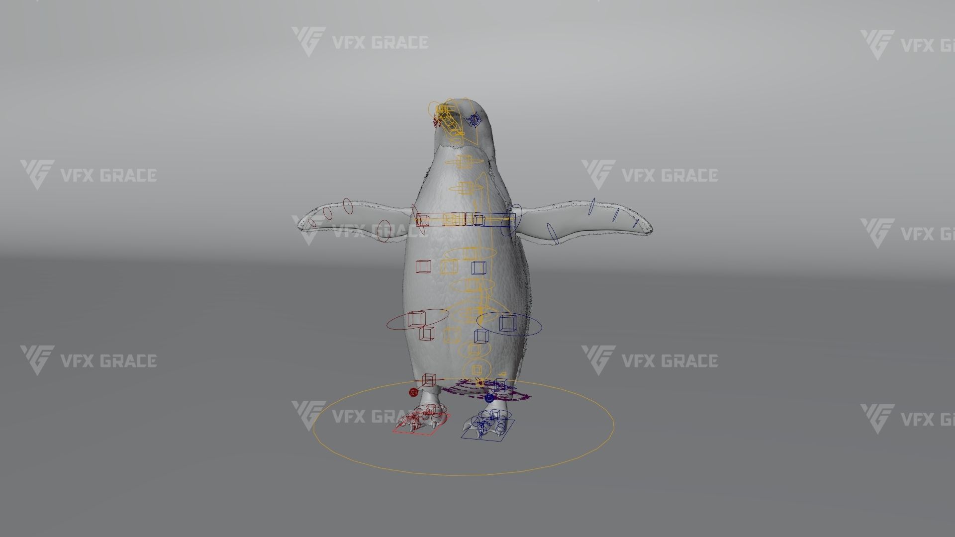 Pygoscelis Animated - VFX Grace 3D model_12