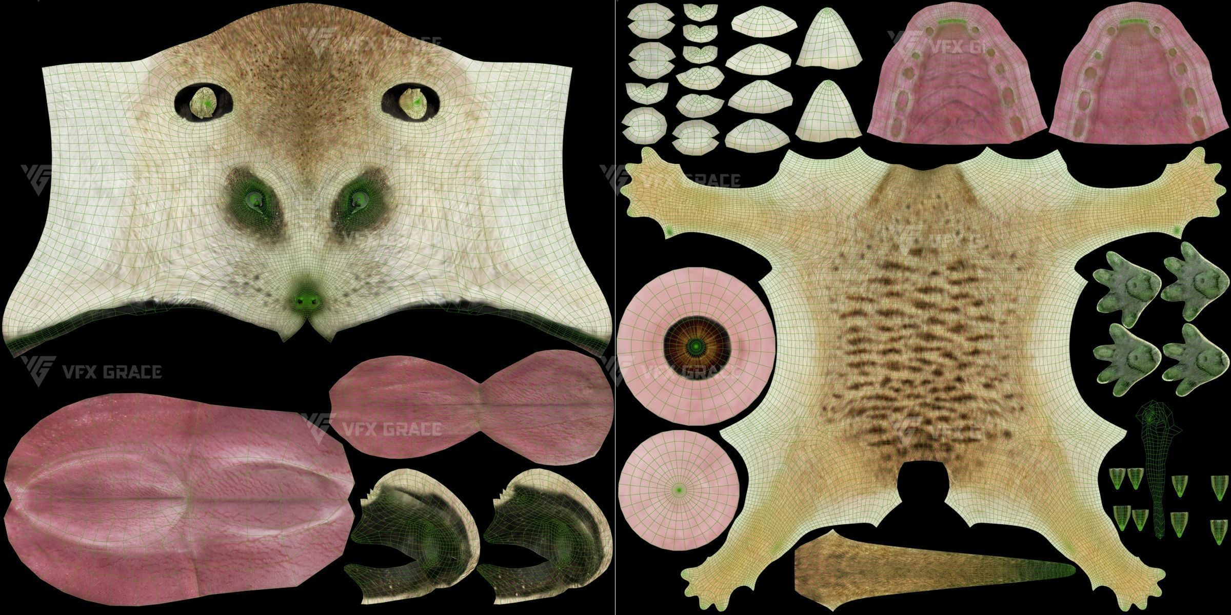 Meerkat Animated - VFX Grace 3D model_17