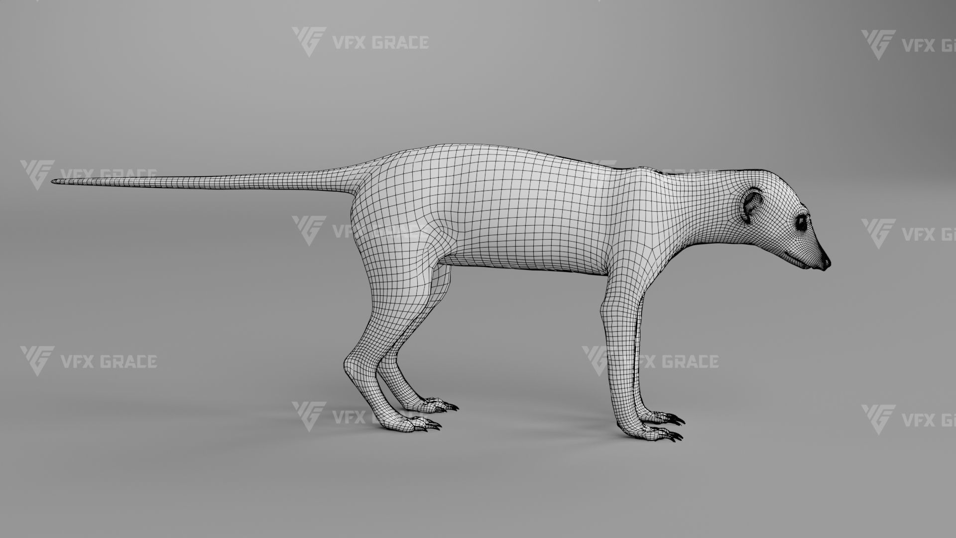 Meerkat Animated - VFX Grace 3D model_20