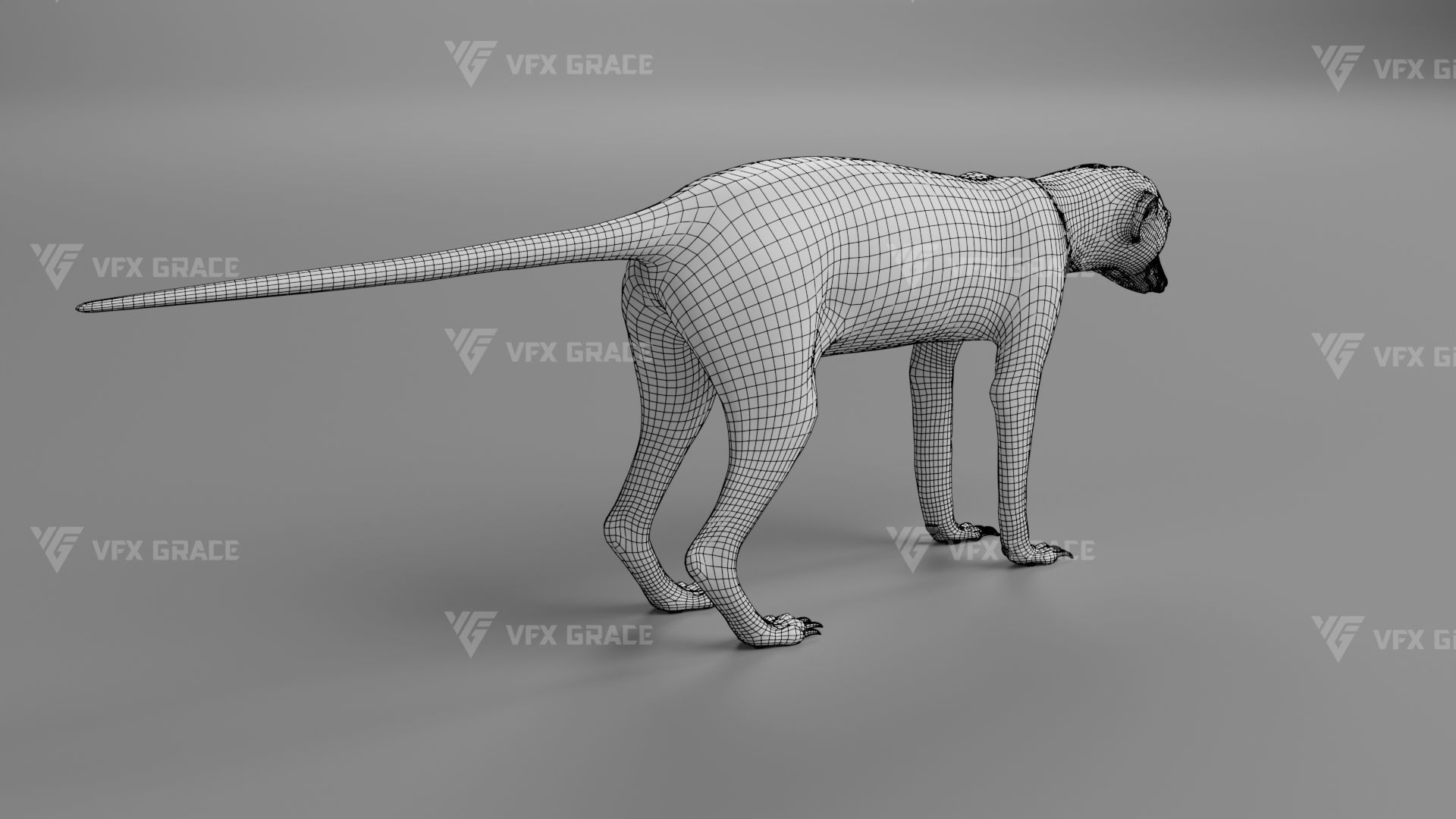 Meerkat Animated - VFX Grace 3D model_21