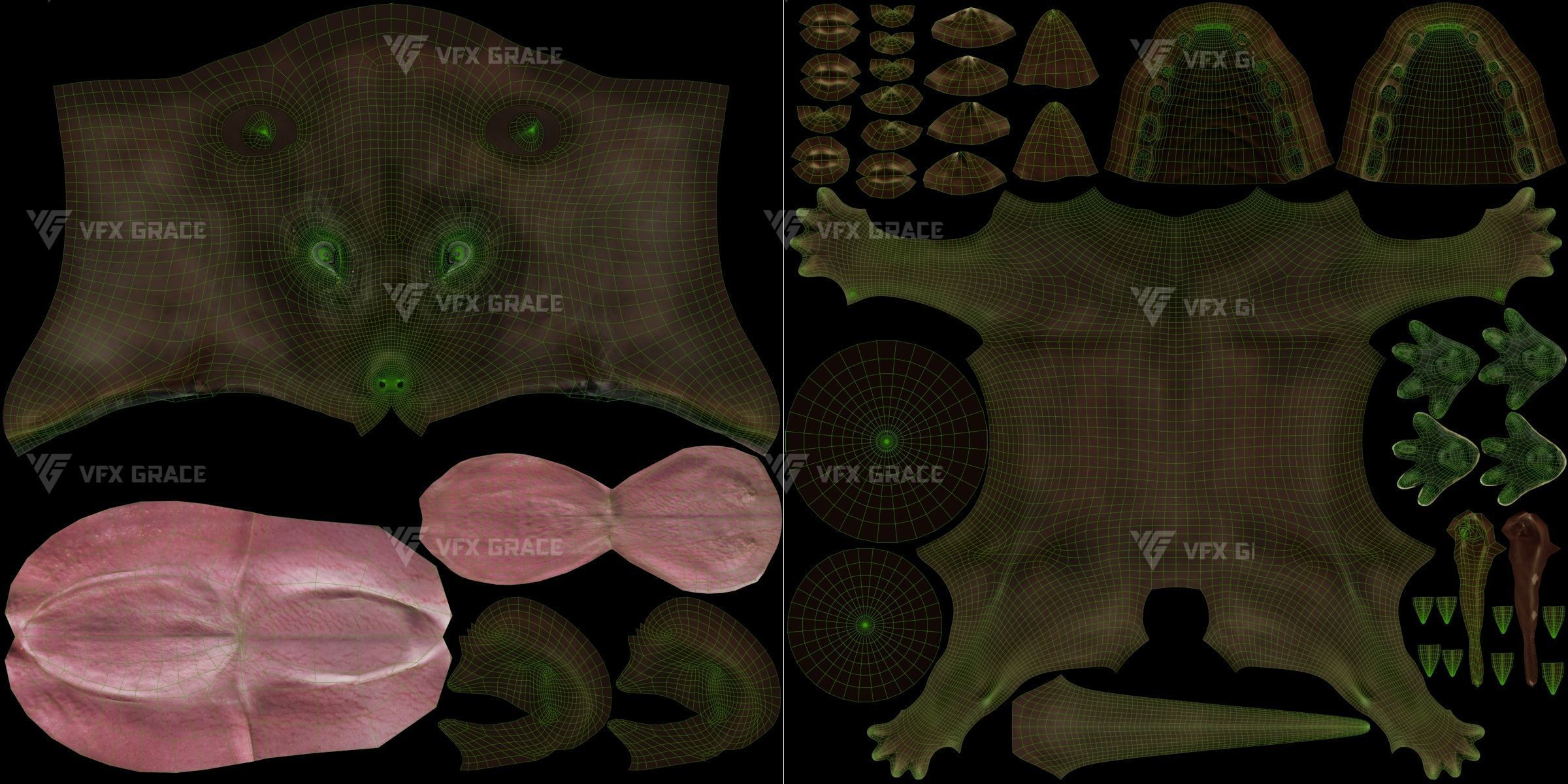 Meerkat Animated - VFX Grace 3D model_16