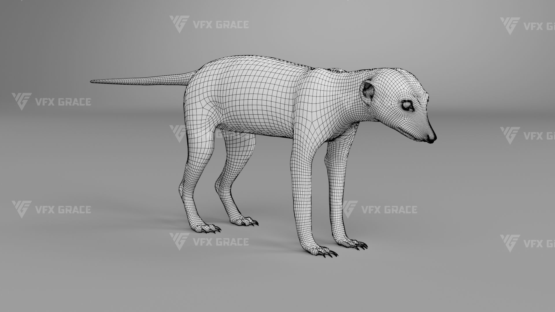 Meerkat Animated - VFX Grace 3D model_19