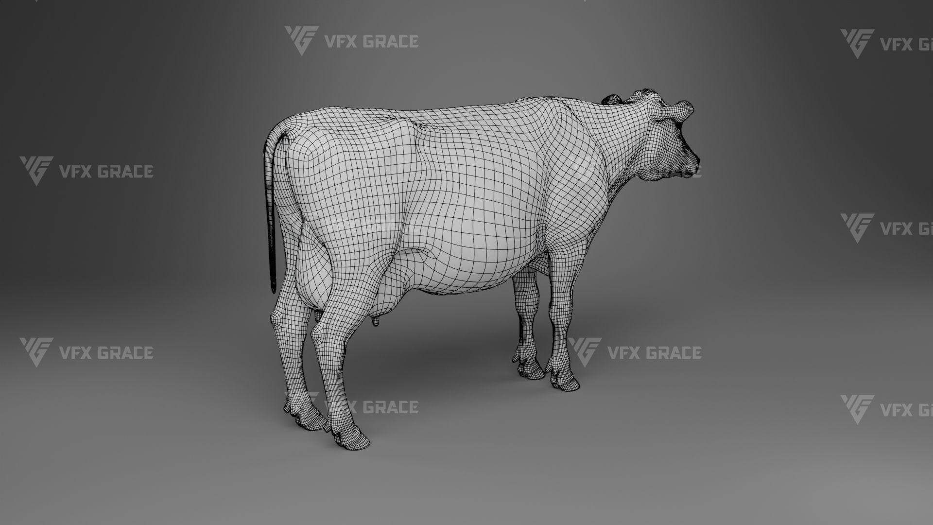 Holstein Female Animation - VFX Grace 3D model_34