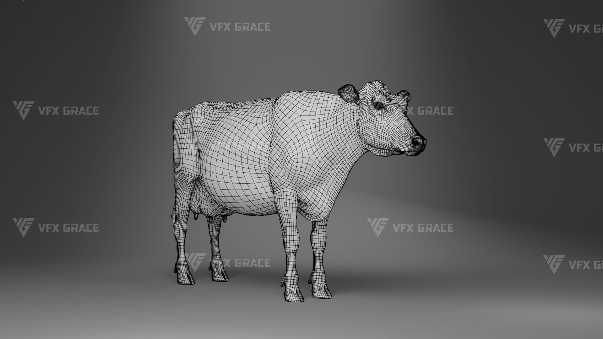 Holstein Female Animation - VFX Grace 3D model_32