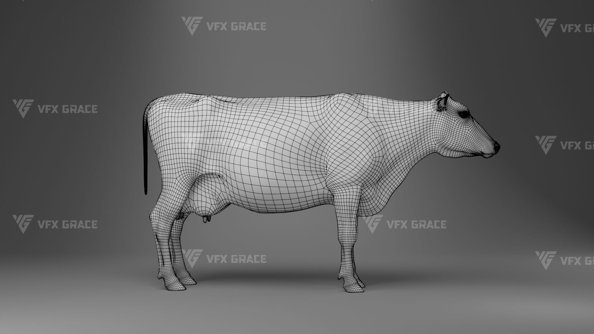 Holstein Female Animation - VFX Grace 3D model_33