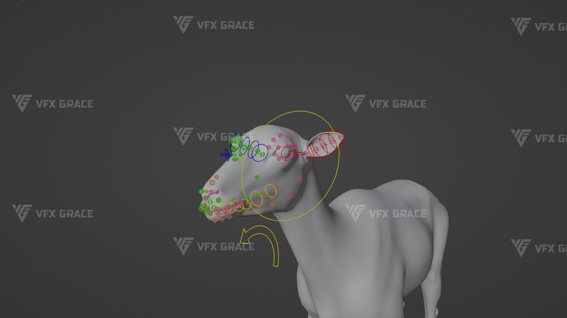 European Mouflon Female Animation - VFX Grace 3D model_15