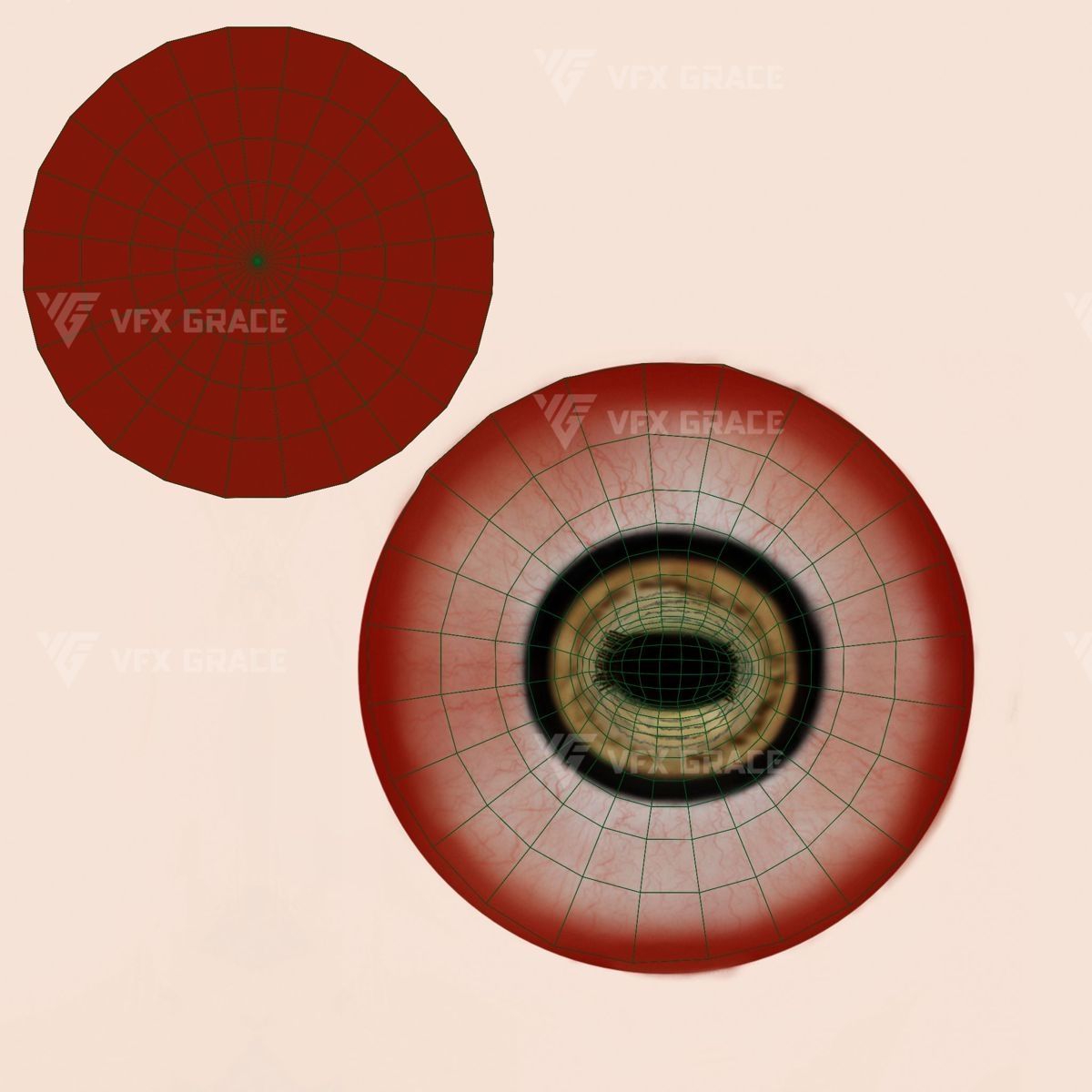 European Mouflon Female Animation - VFX Grace 3D model_23