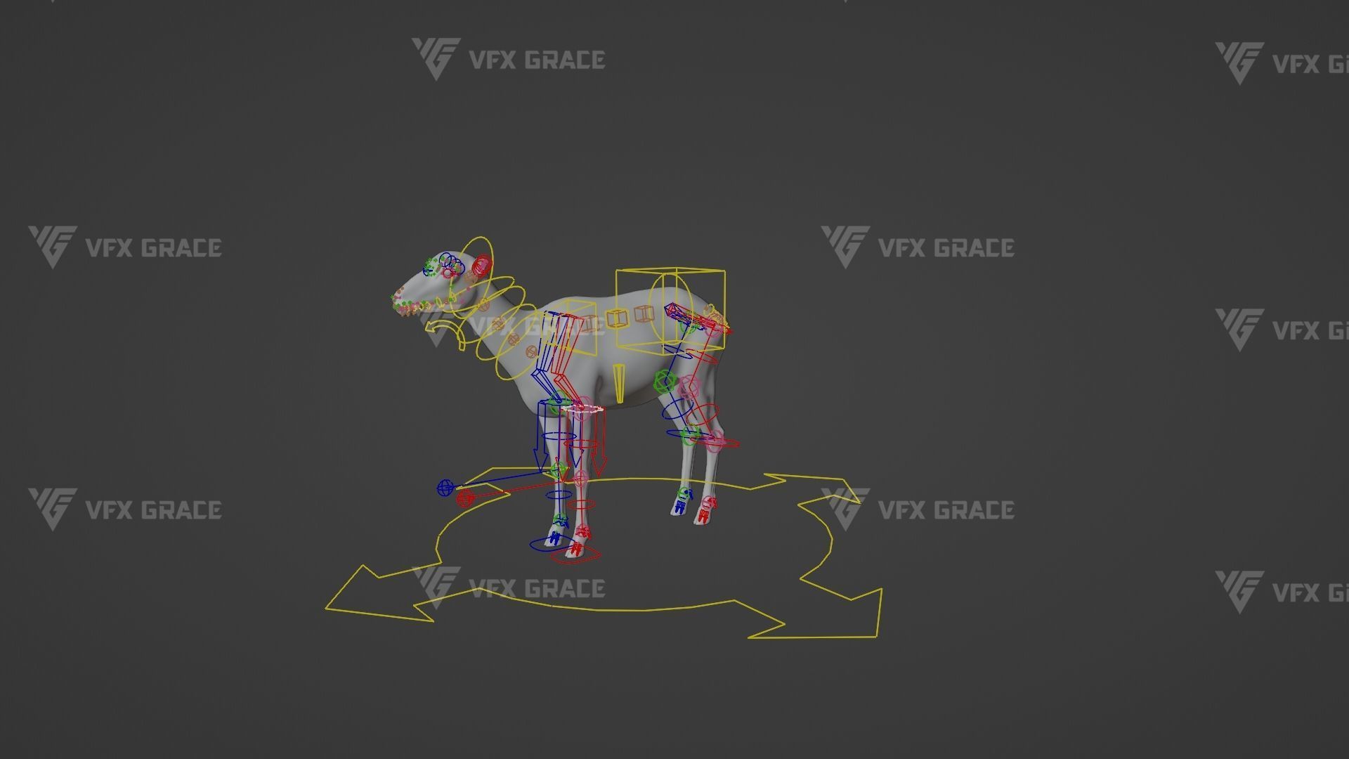 European Mouflon Female Animation - VFX Grace 3D model_14