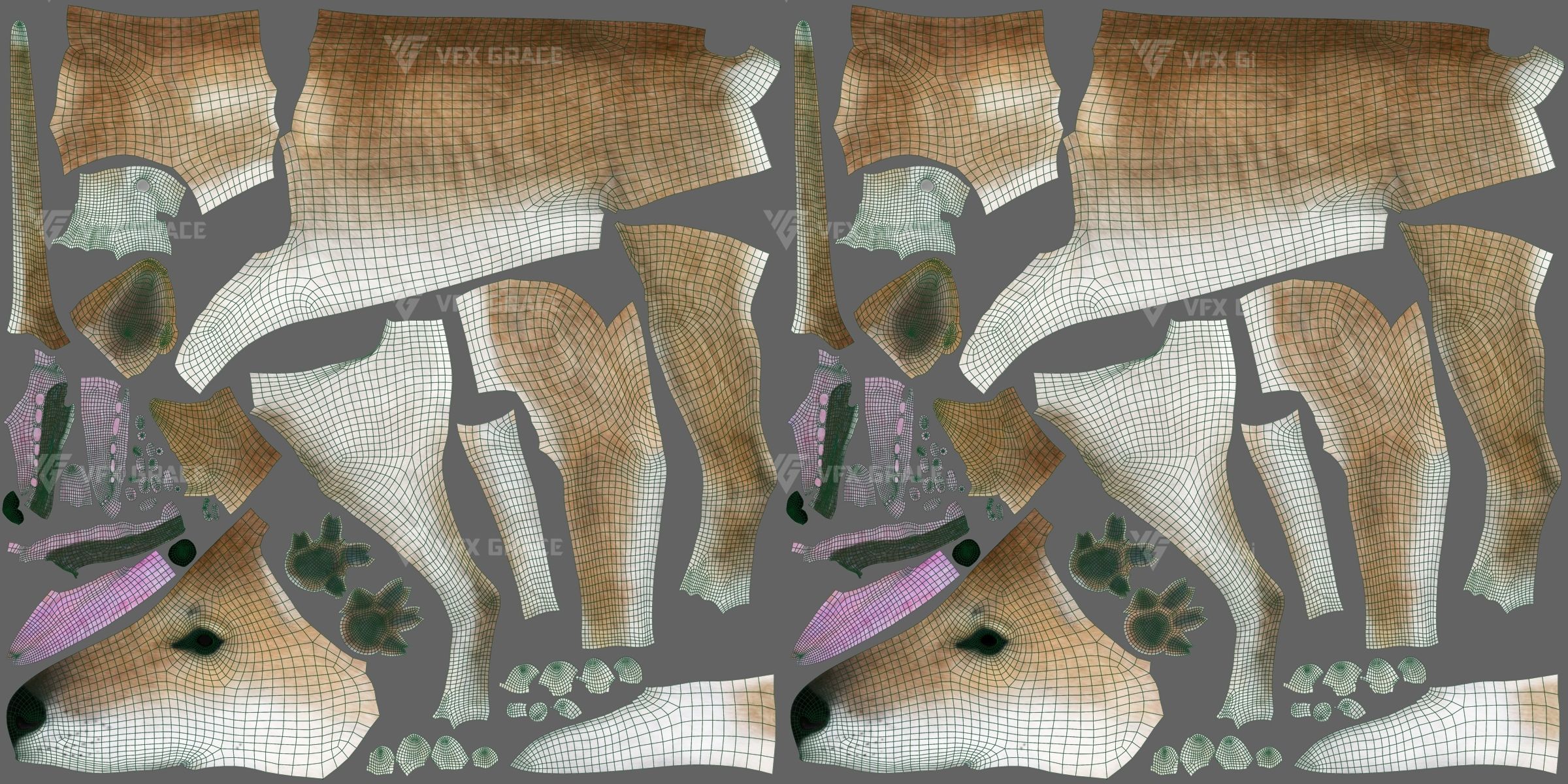 Australian Dingo Animation - VFX Grace 3D model_19