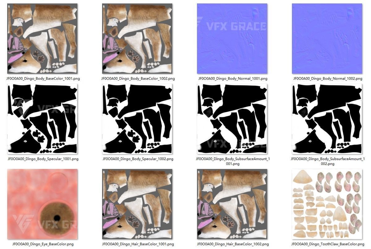 Australian Dingo Animation - VFX Grace 3D model_22