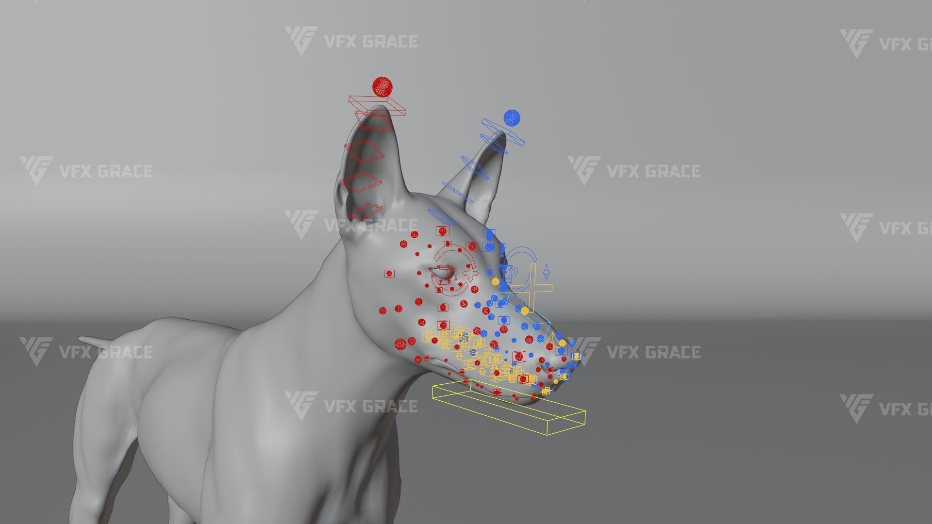 Australian Dingo Animation - VFX Grace 3D model_17