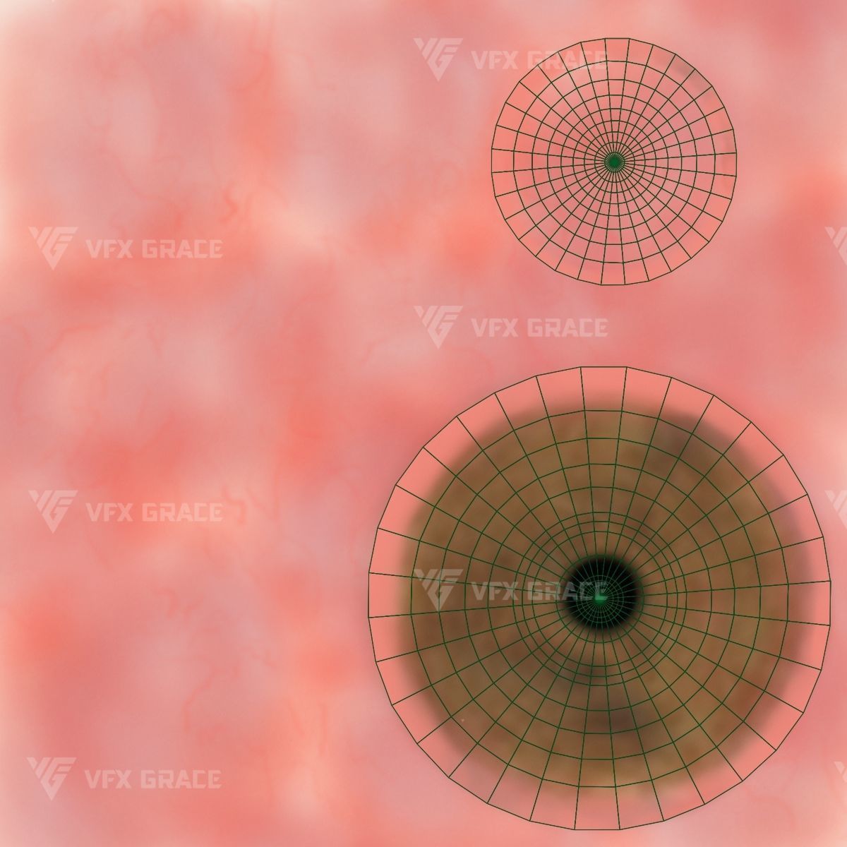 Australian Dingo Animation - VFX Grace 3D model_20