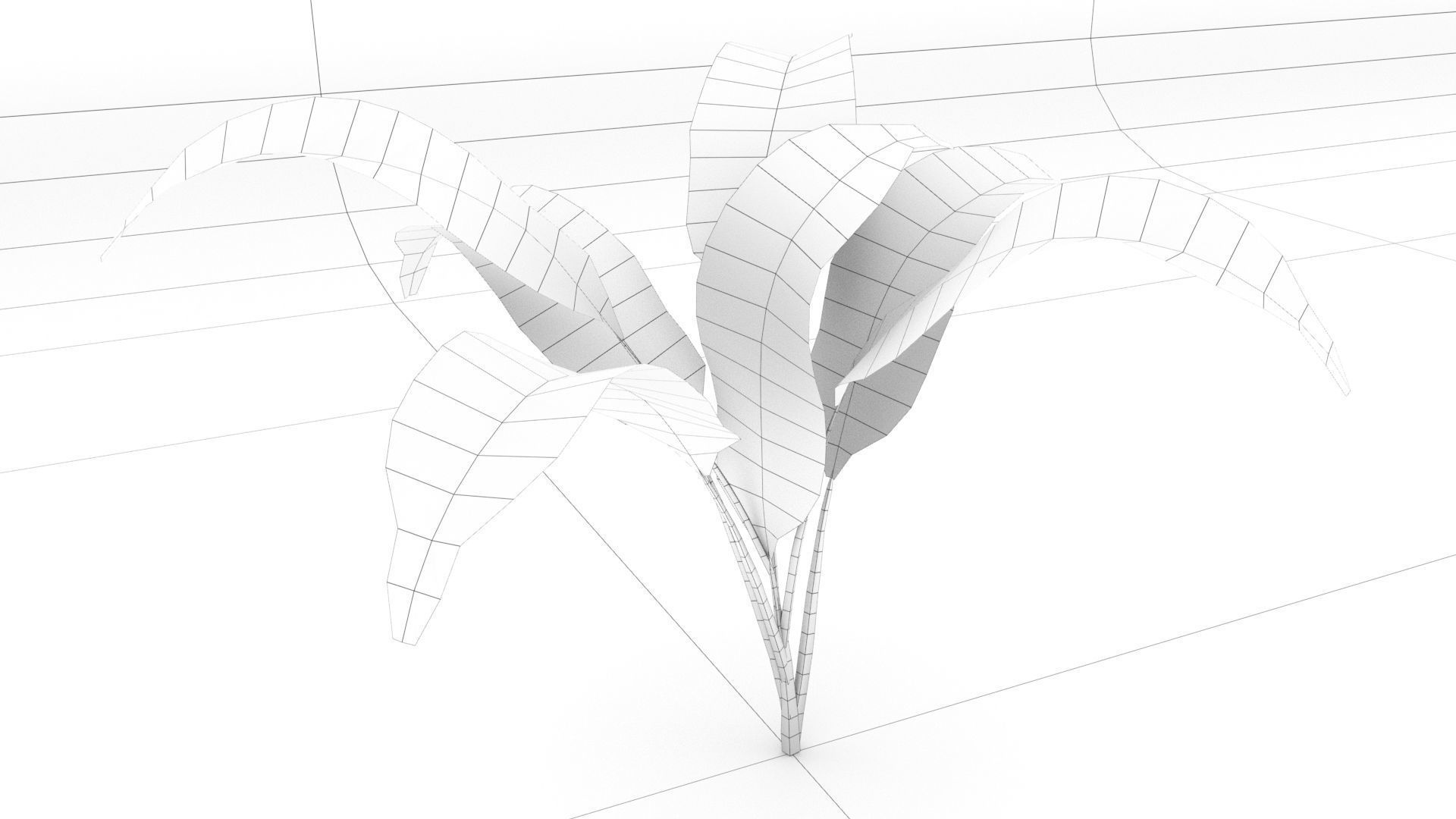 laos Vegetation Palm Leaf Aspidistra elatior Low-poly 3D model_6