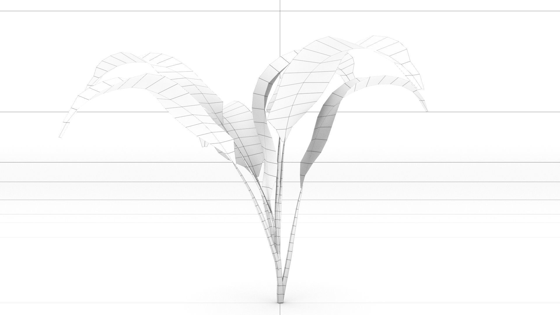 laos Vegetation Palm Leaf Aspidistra elatior Low-poly 3D model_5