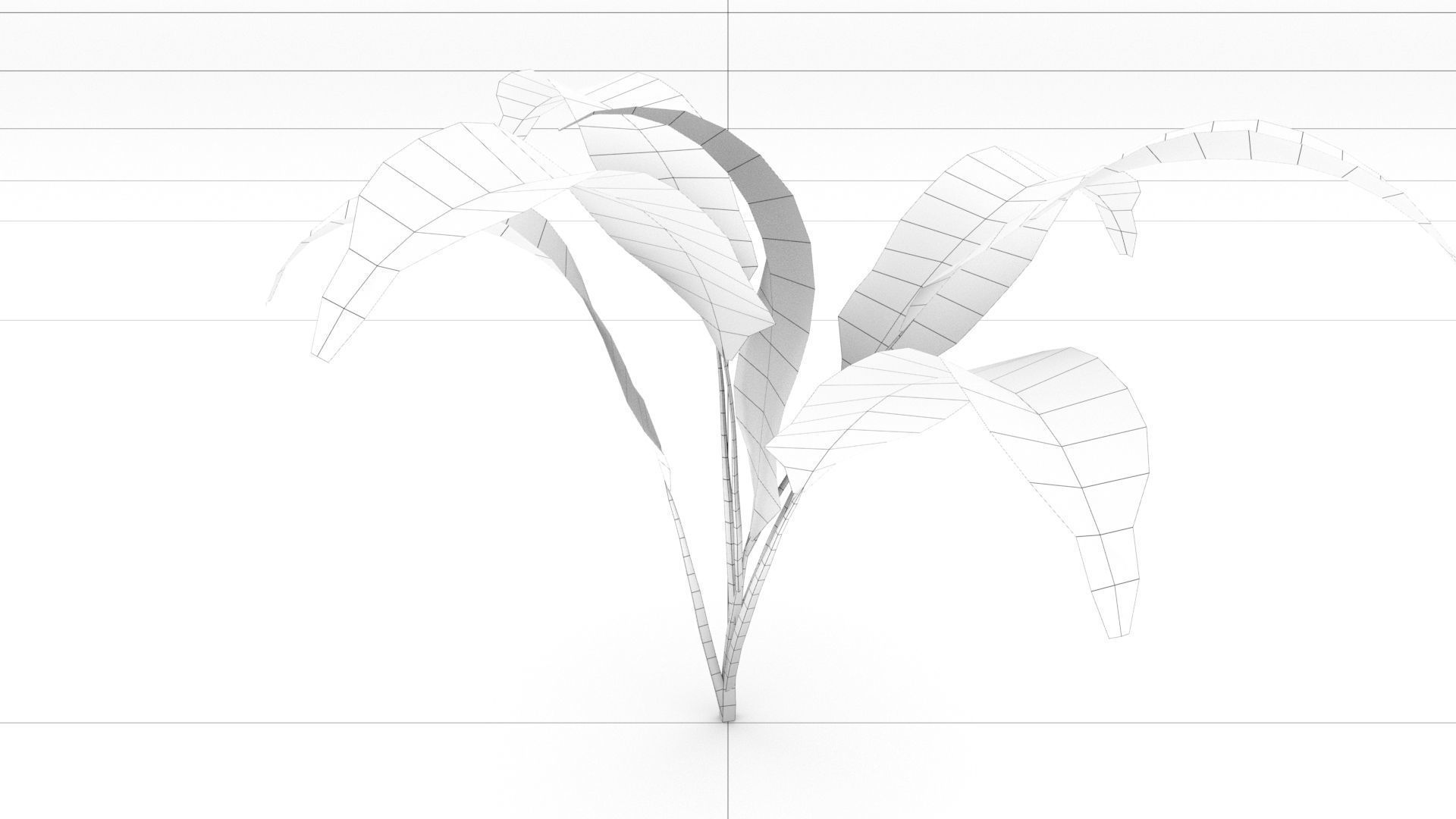 laos Vegetation Palm Leaf Aspidistra elatior Low-poly 3D model_8