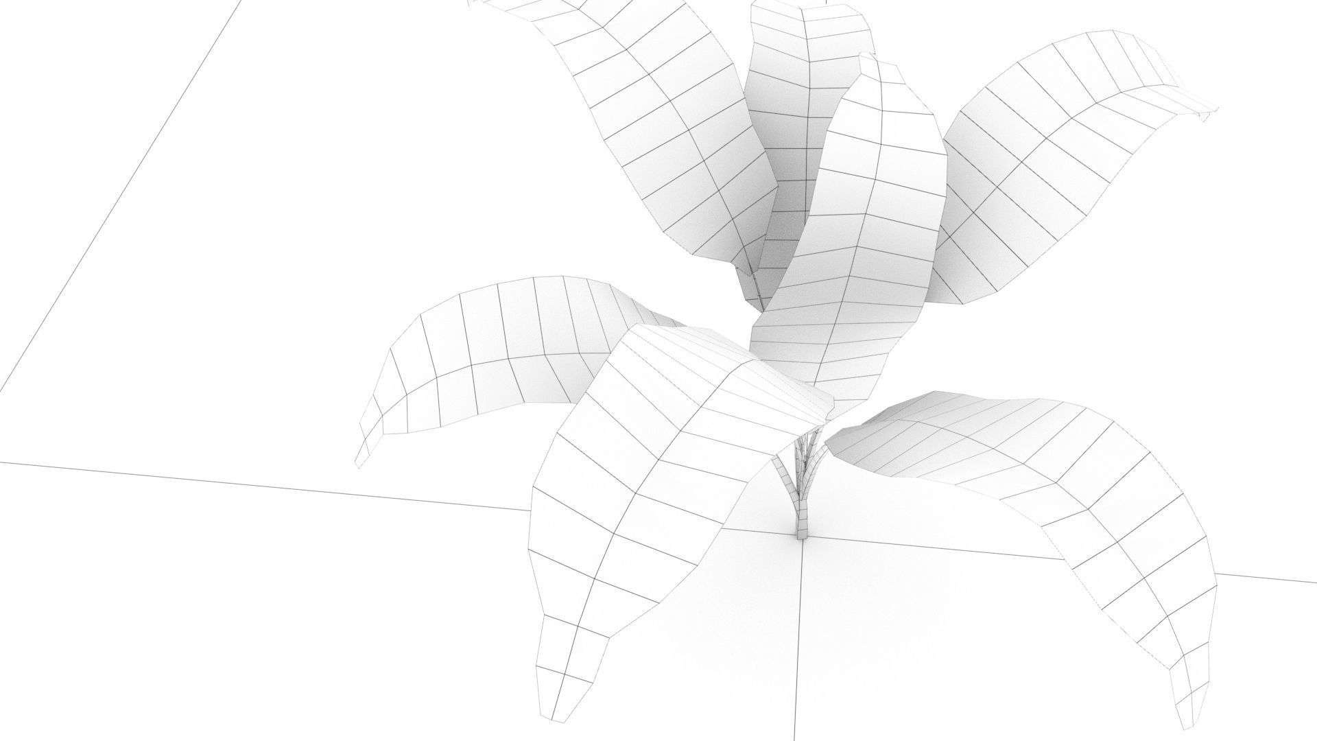 laos Vegetation Palm Leaf Aspidistra elatior Low-poly 3D model_9