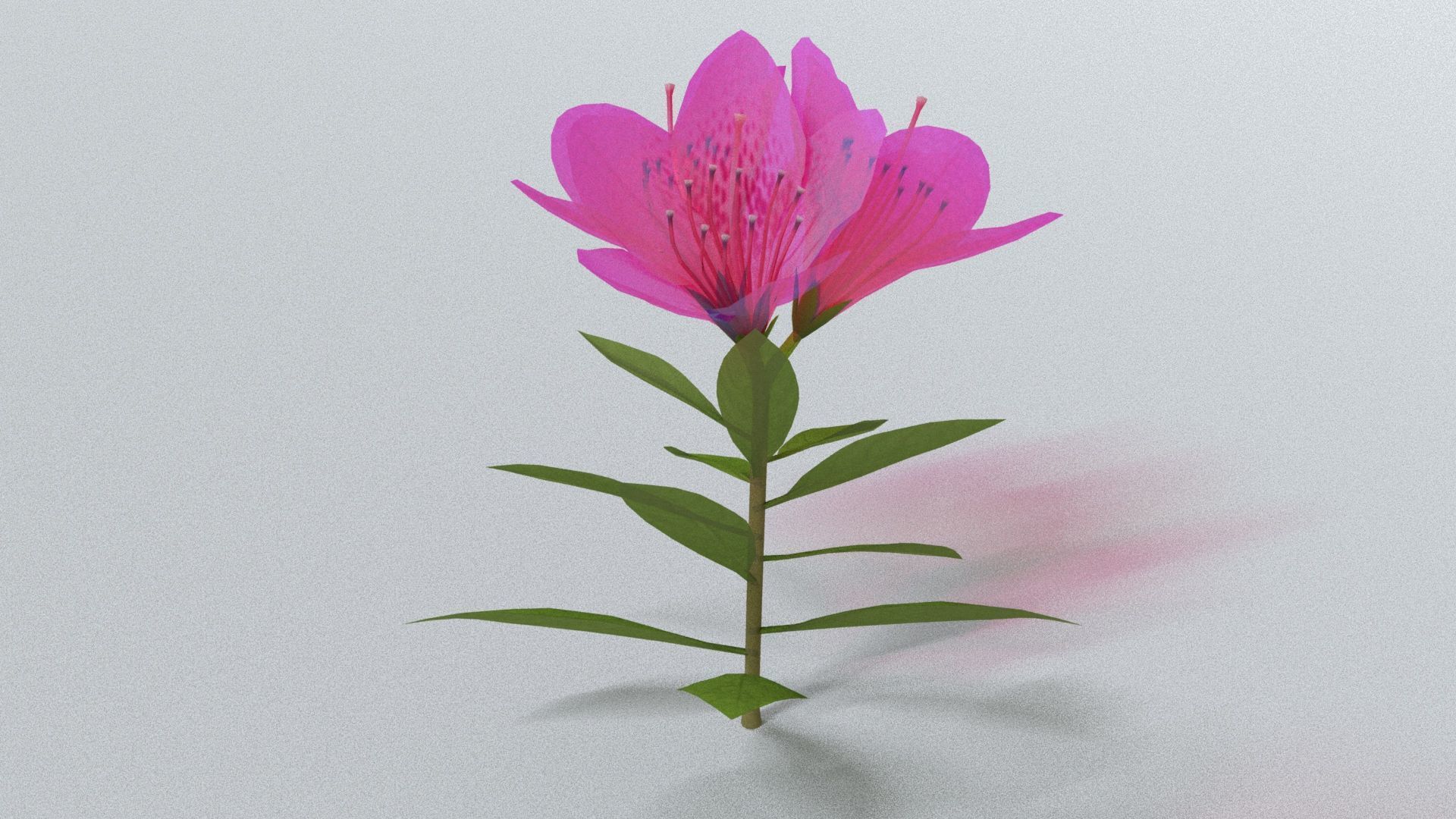 laos Vegetation Azalea Low-poly 3D model_2