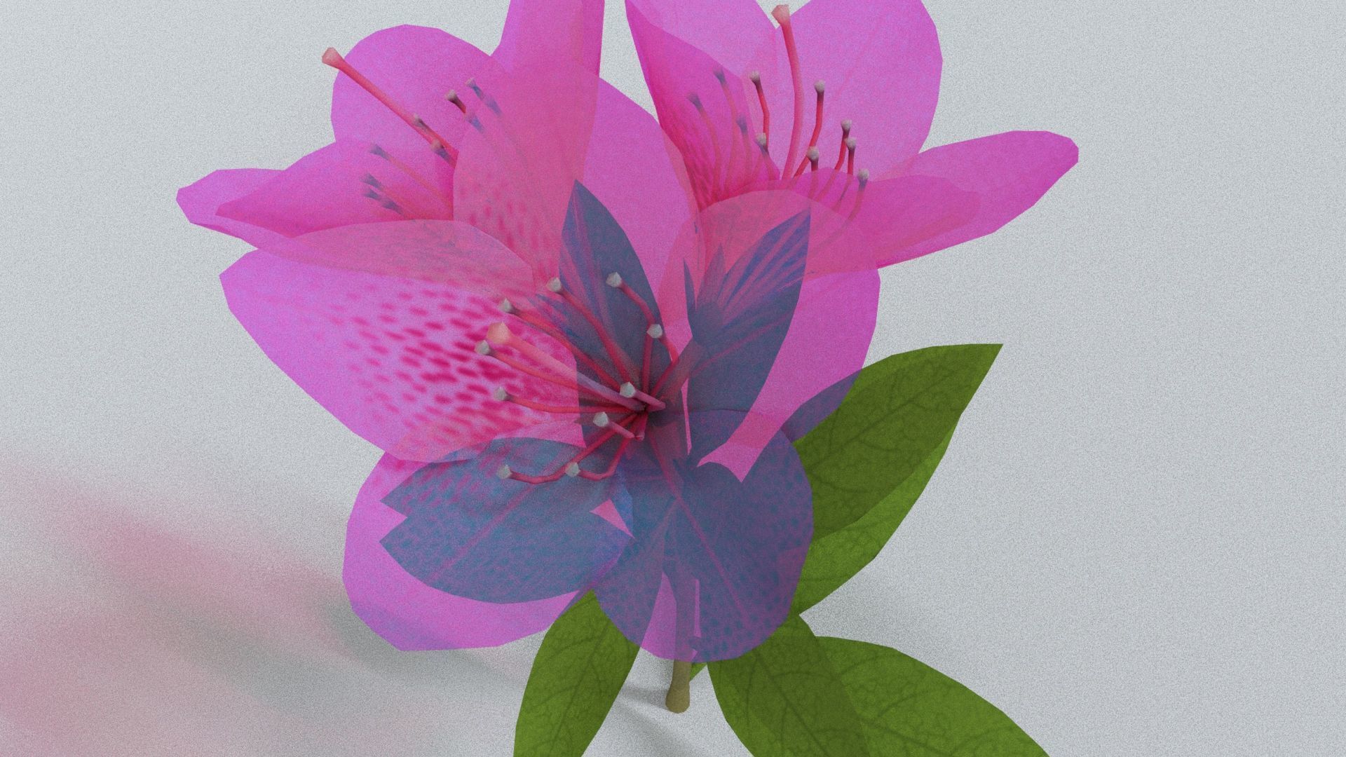 laos Vegetation Azalea Low-poly 3D model_4