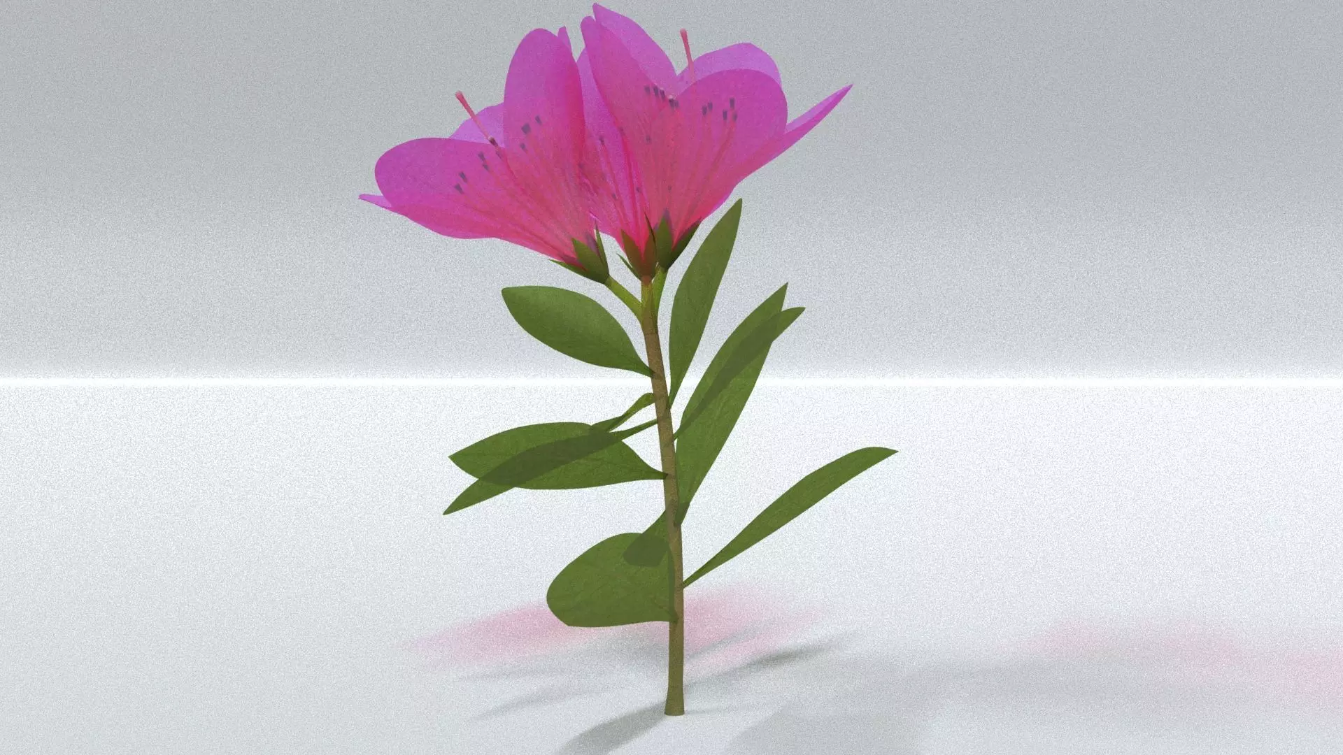 laos Vegetation Azalea Low-poly 3D model_0