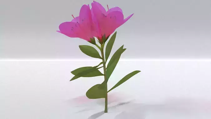 laos Vegetation Azalea