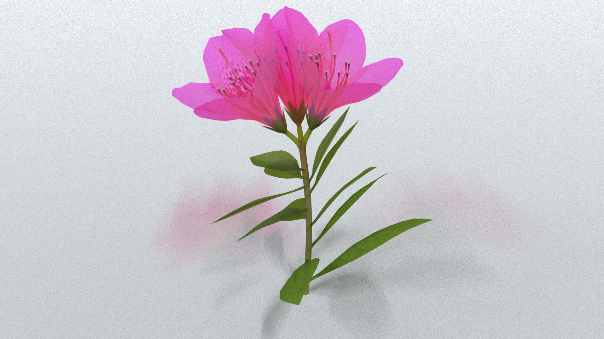 laos Vegetation Azalea Low-poly 3D model_1