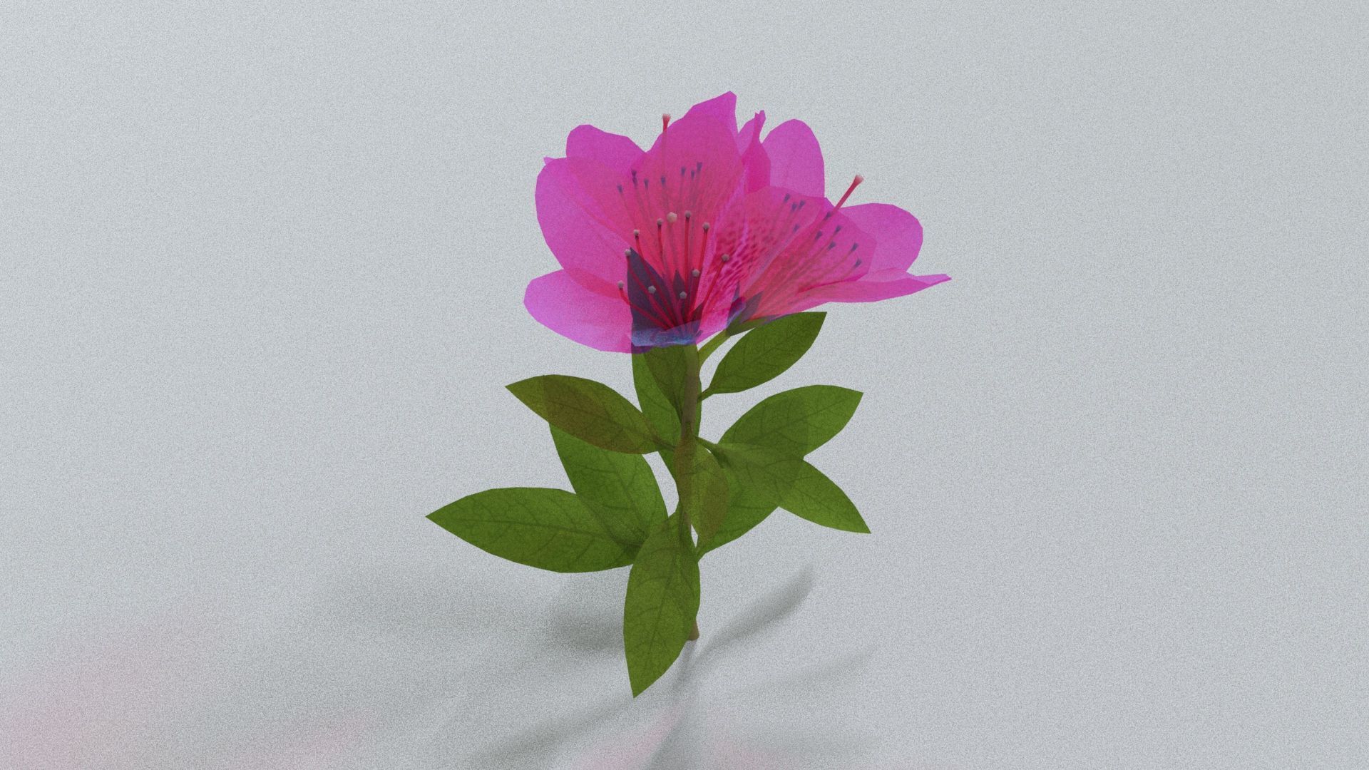 laos Vegetation Azalea Low-poly 3D model_3