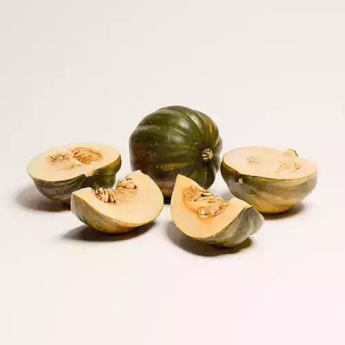 Acorn Squash 01 3D model