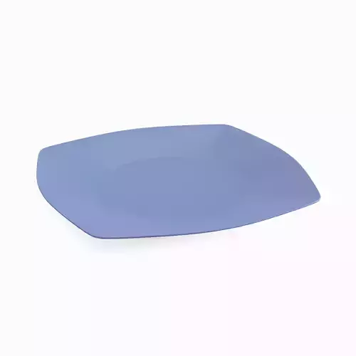 Disposable Plastic Plate A 01 