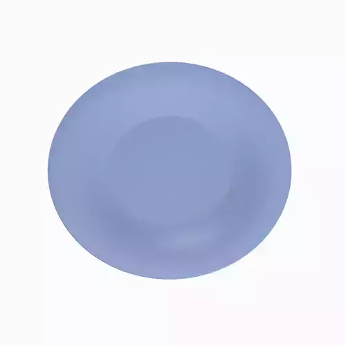 Disposable Plastic Plate B 01