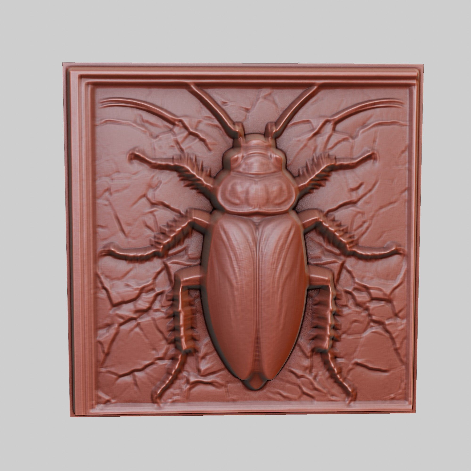 Cockroach Animal 3D print model_2