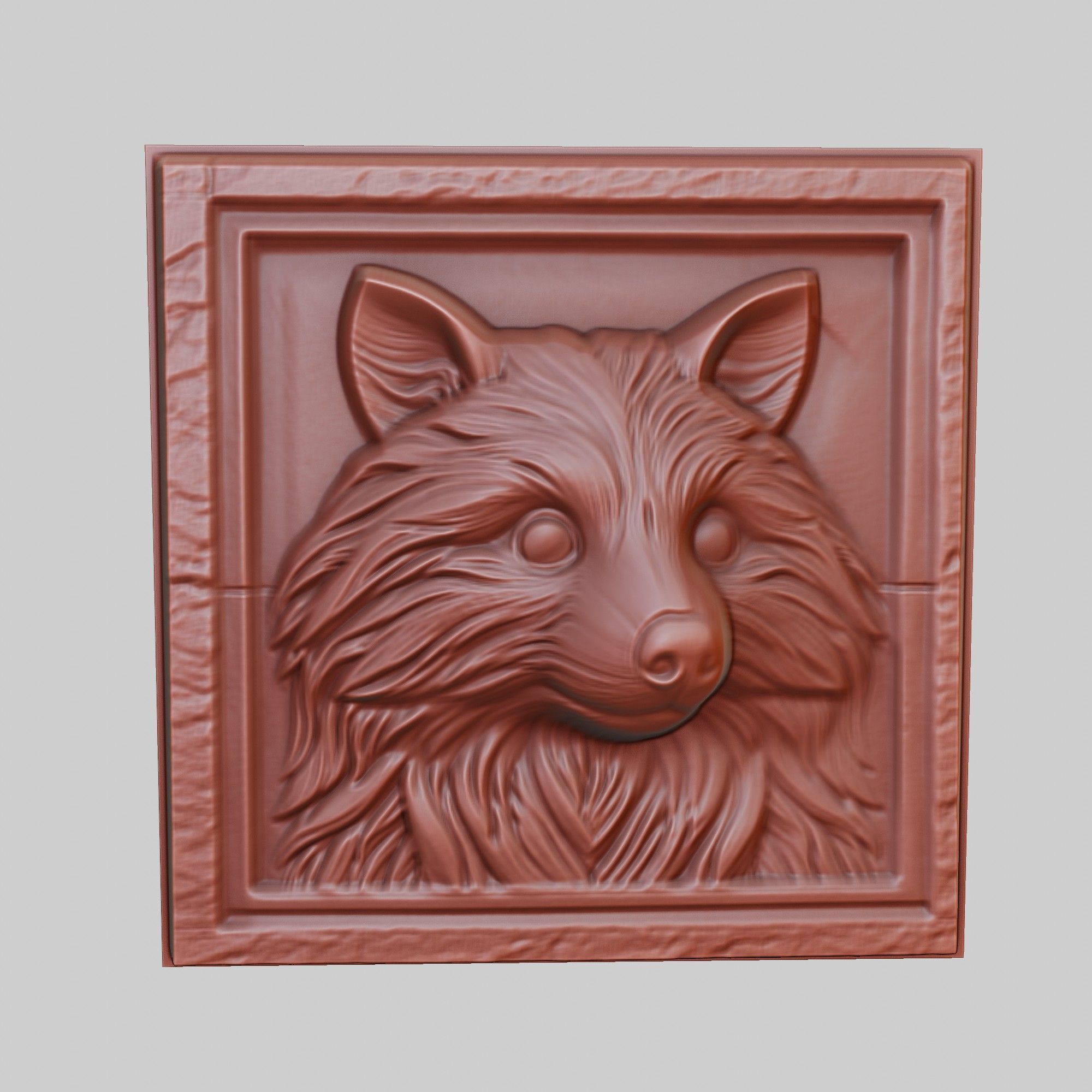 Raccoon Animal 3D print model_2