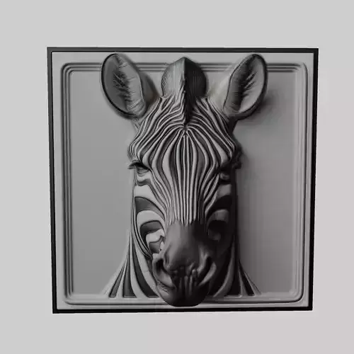 Zebra Animal