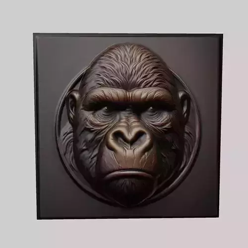 Gorilla Animal