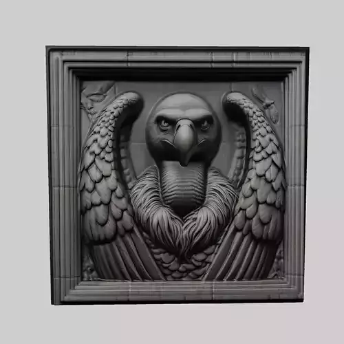 Vulture Animal