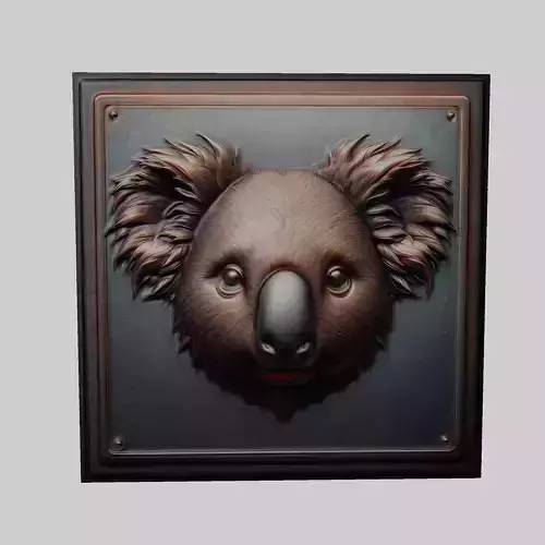 Koala Animal