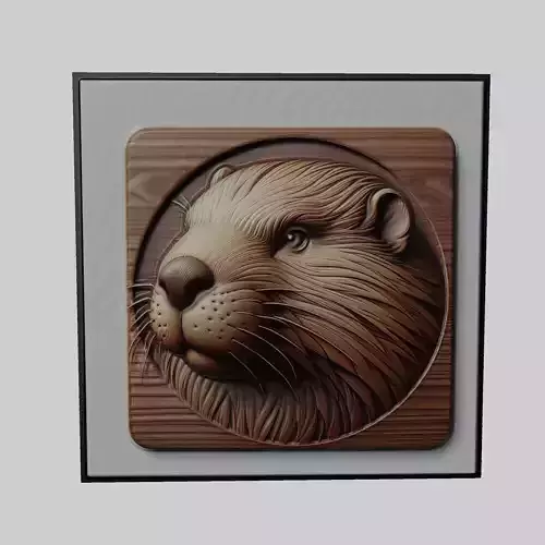 Beaver Animal