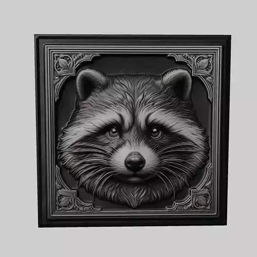 Raccoon Animal
